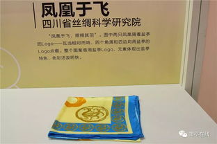 小盐多图全景带你看 锦绣四川 丝绸之源 丝绸产品创新设计专题赛作品展